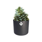 b.for soft rund 25cm anthrazit